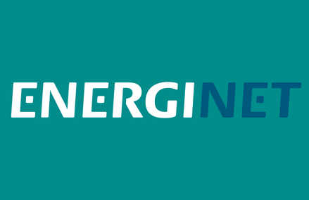 Energinet Associates, Denmark